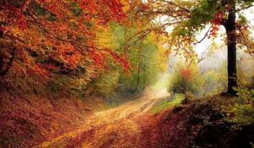 AUTUMN EQUINOX BLESSINGS!