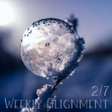 Weekly Alignment February 7, 2021: Awareness Exercise