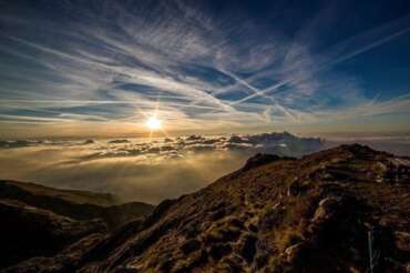 168. Weekly Alignment: working with the earth element for the capricorn stellium