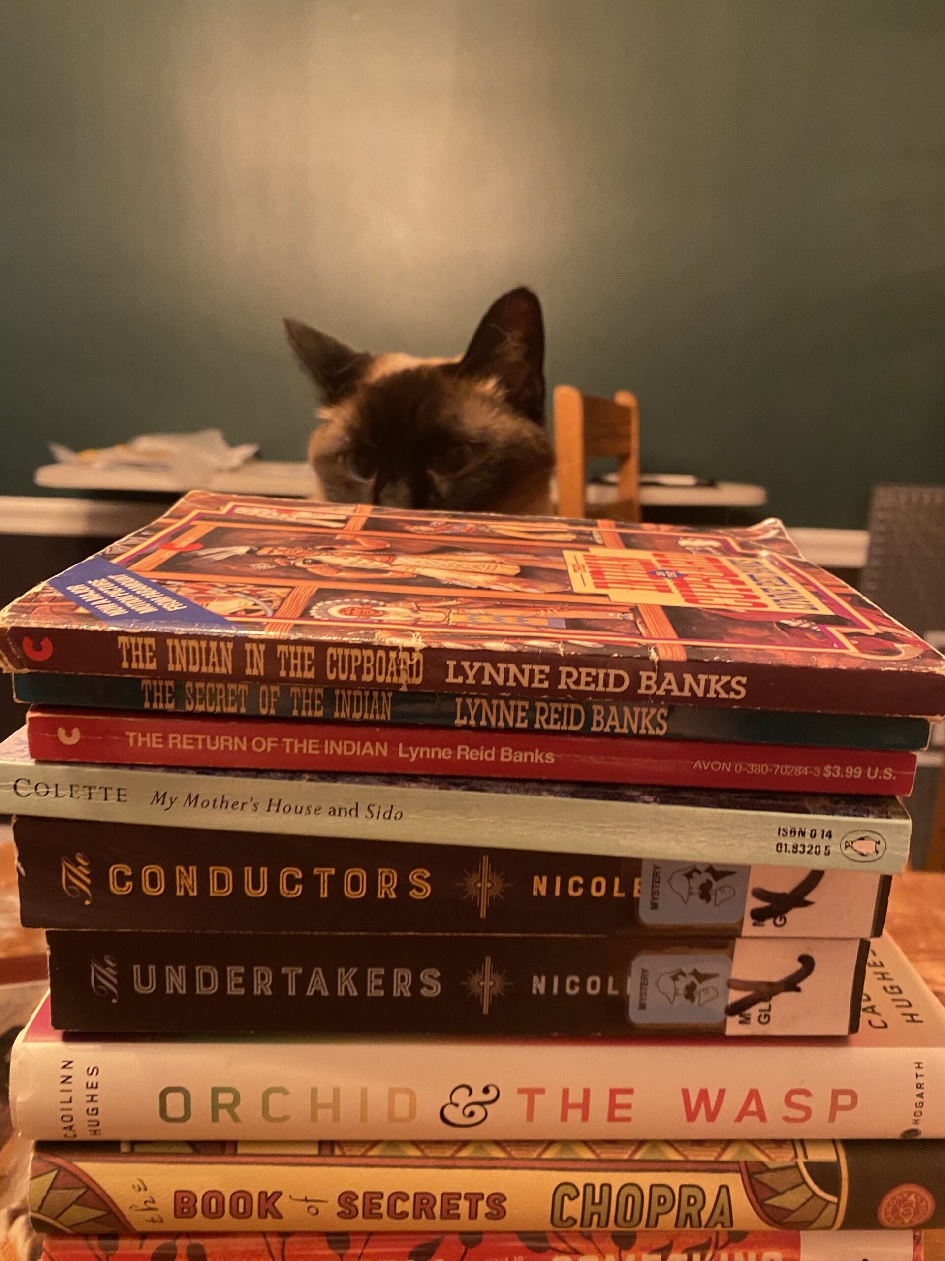 Library Bag Sale!
